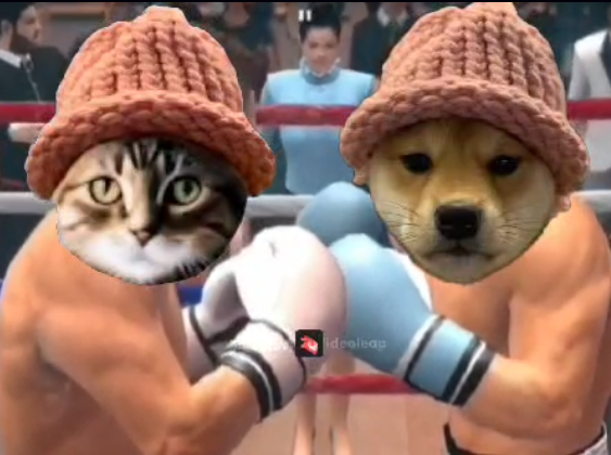 Boxing