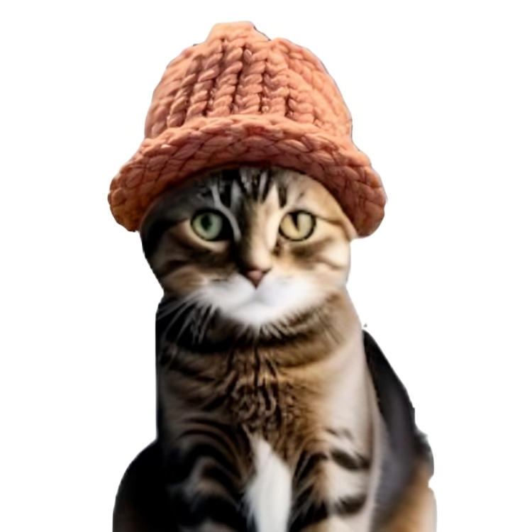 Catwifhat