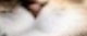 Catwifhat